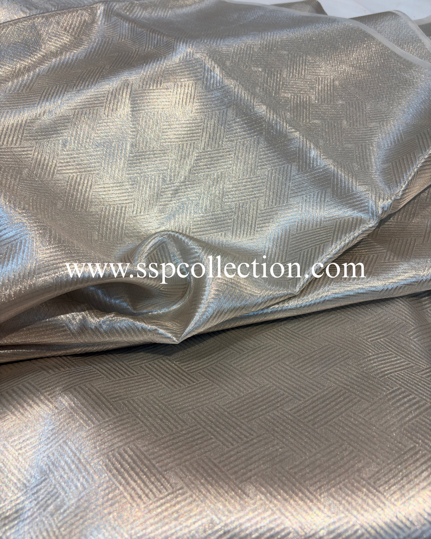 Silver Pure Molten Tissue Silk Brocade Banarasi Saree