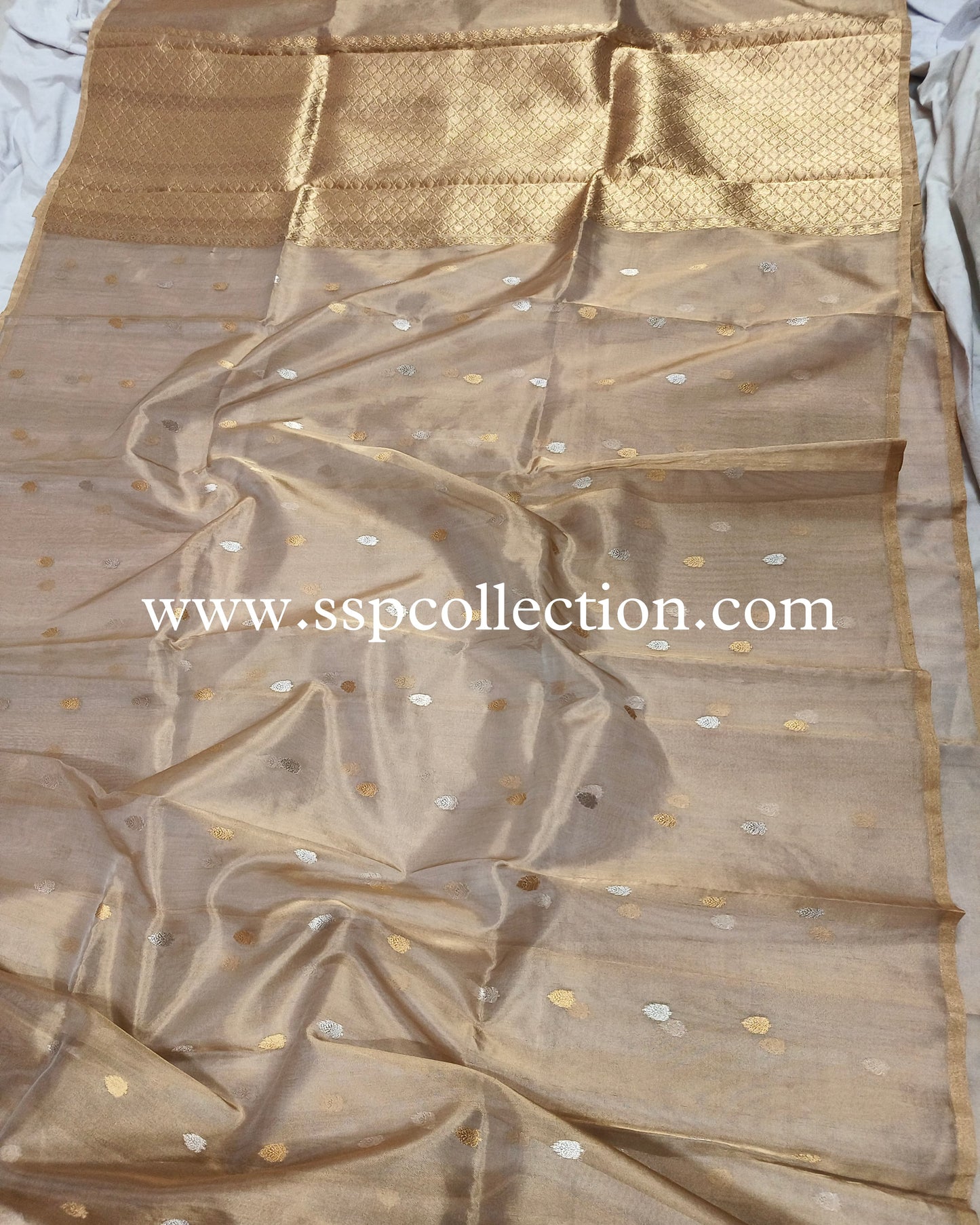 Beige-Gold Pure Tissue Silk Banarasi Saree