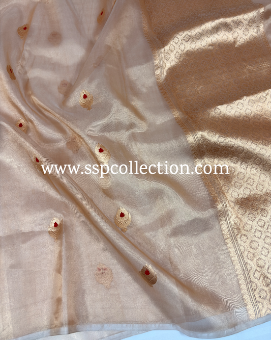 Champagne-Gold Pure Tissue Silk Meenakaari Banarasi Saree