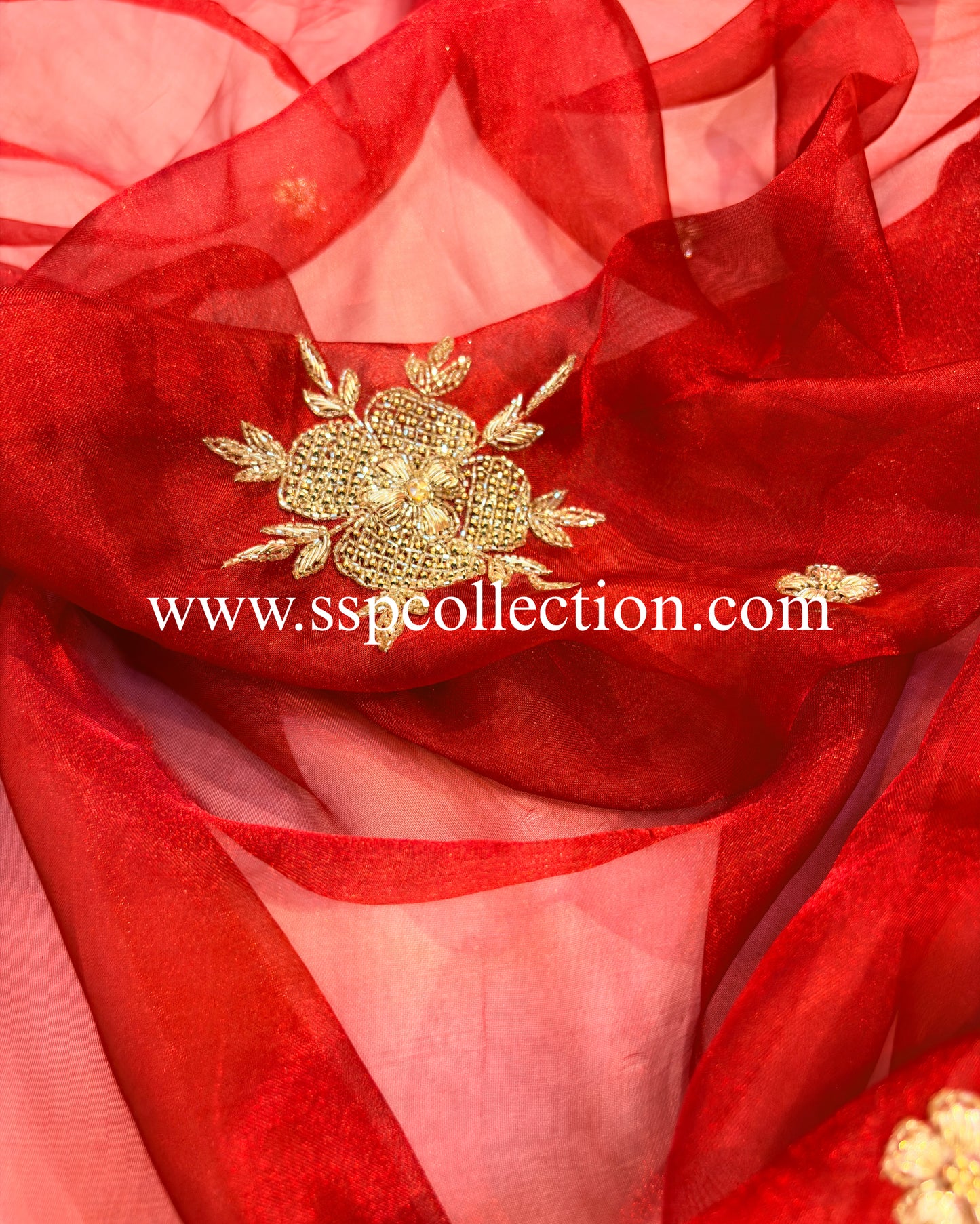 Red Banarasi Pure Tissue Silk Zardozi Bridal Dupatta
