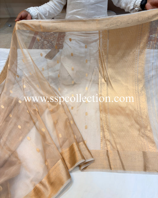 Champagne-Gold Pure Tissue Silk Banarasi Saree