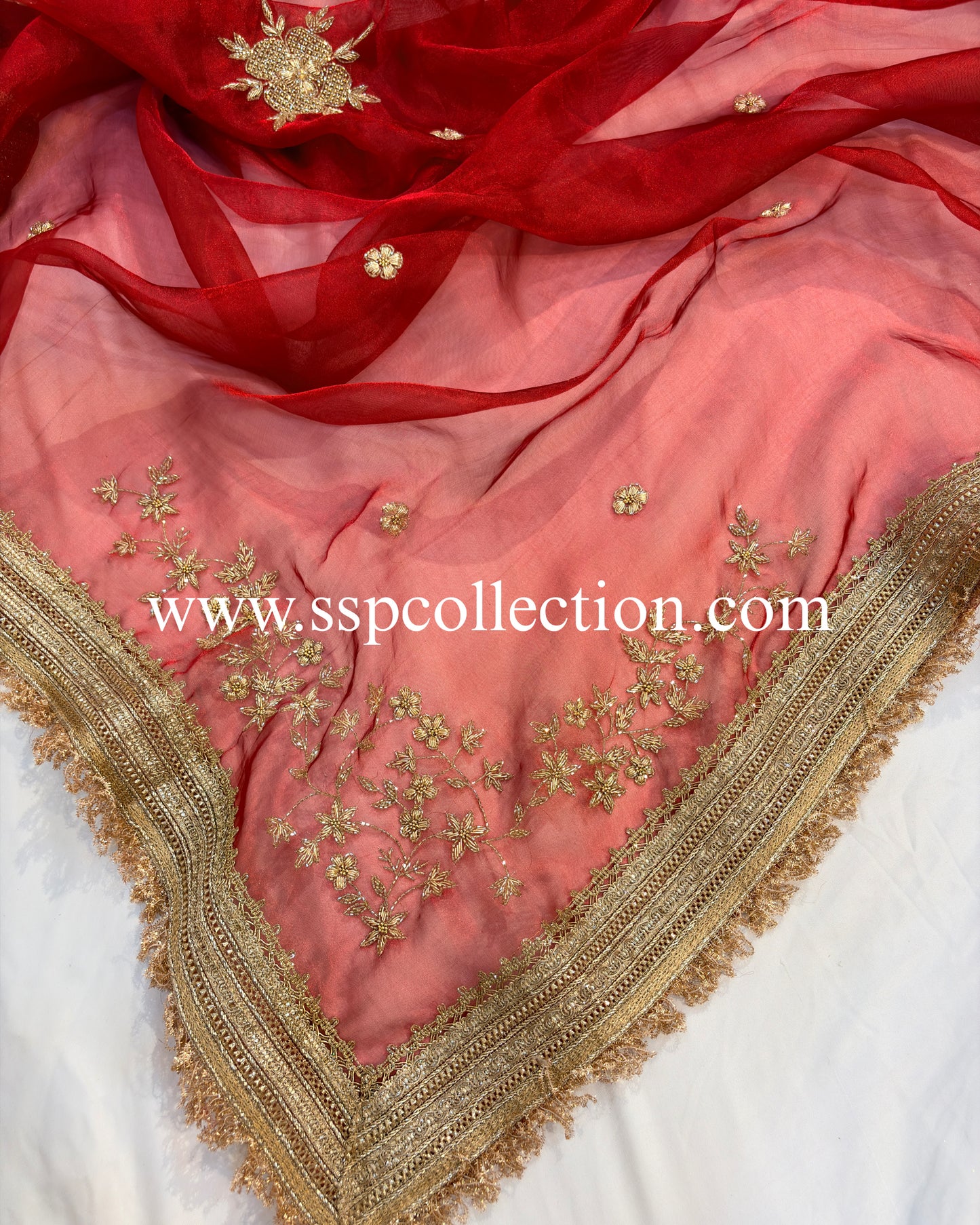 Red Banarasi Pure Tissue Silk Zardozi Bridal Dupatta