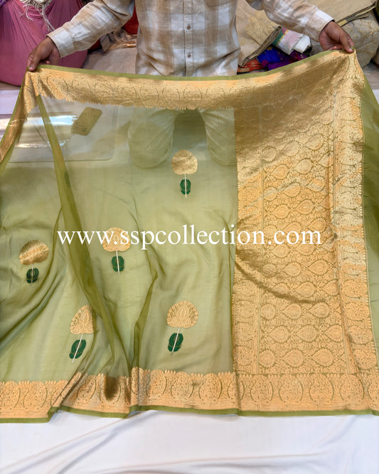 Murky-Green Pure Kora Silk Tilfi Banarasi Saree