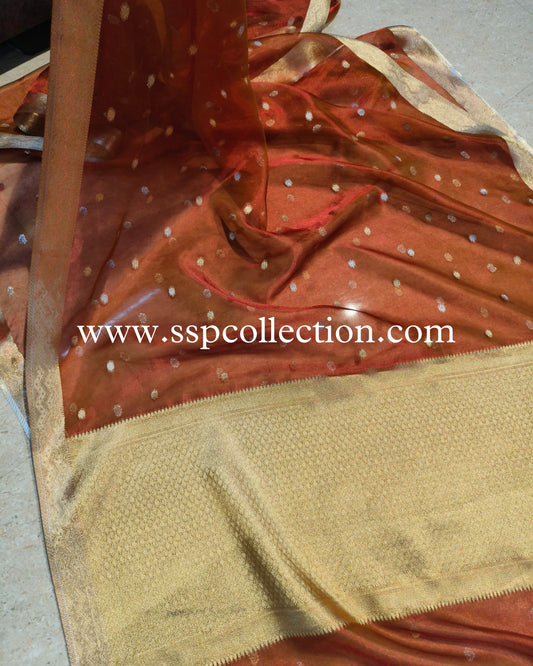 Dhoop-Chaao Pure Tissue Silk Banarasi Saree