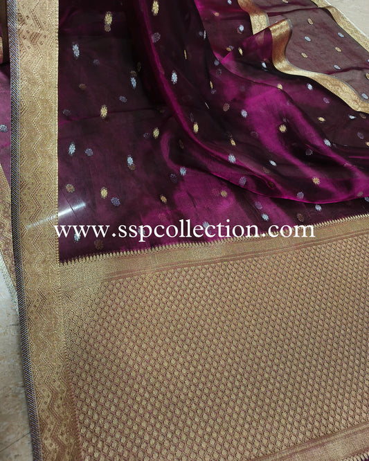 Dhoop-Chaao Pure Tissue Silk Banarasi Saree