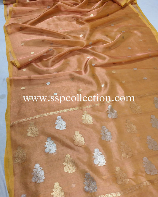 Dhoop-Chaao Pure Tissue Silk Banarasi Saree