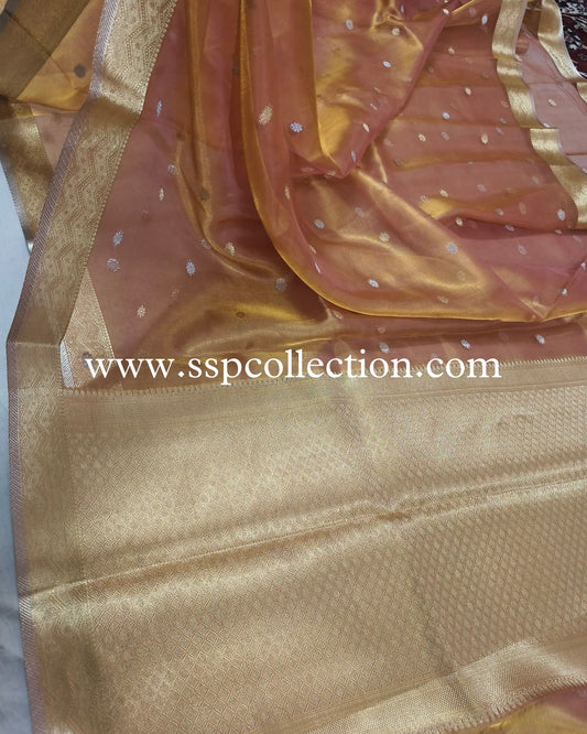 Dhoop-Chaao Pure Tissue Silk Banarasi Saree