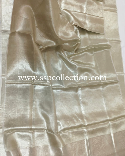 Silver Pure Molten Tissue Silk Brocade Banarasi Saree